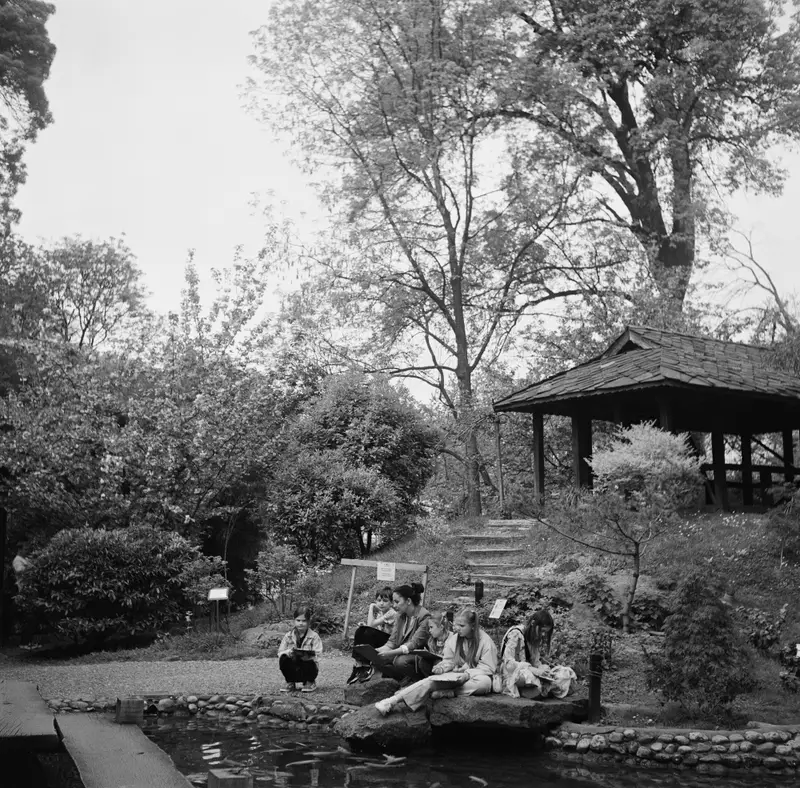 Japanese garden in Jevremovac Botanical Garden, Belgrade
