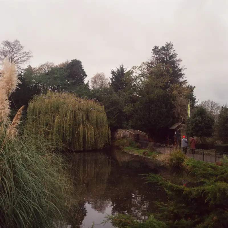 Golders Hill Bird Pond