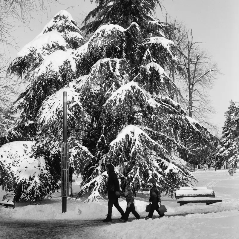 Tašmajdan Park, Belgrade