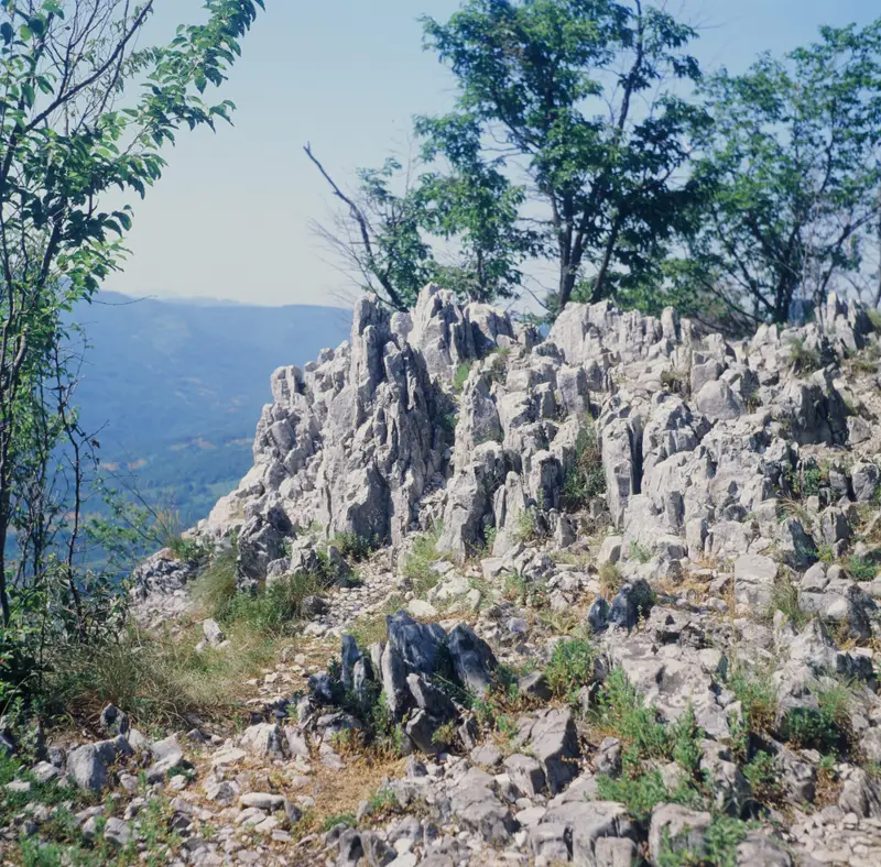 Karst formations on Banska Stena, Tara National Park