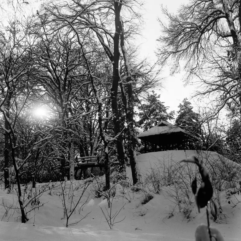 Japanese garden in Jevremovac Botanical Garden, Belgrade